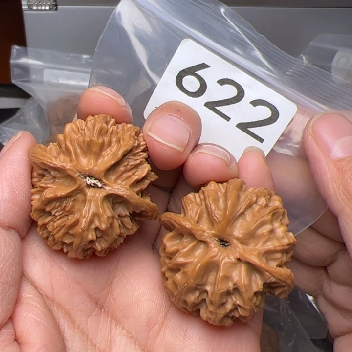 核桃全品苹果园36尺622