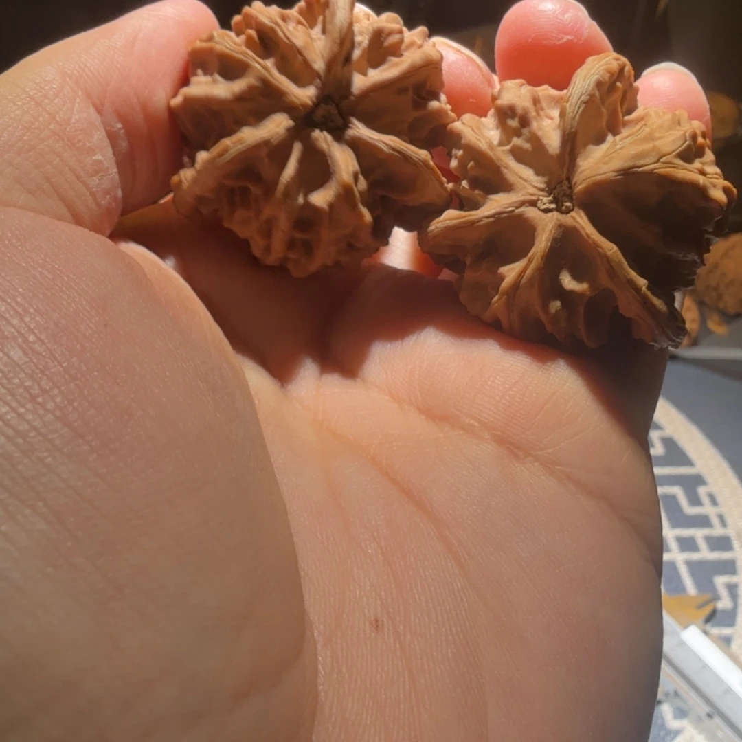 文玩核桃把件盘山正奔