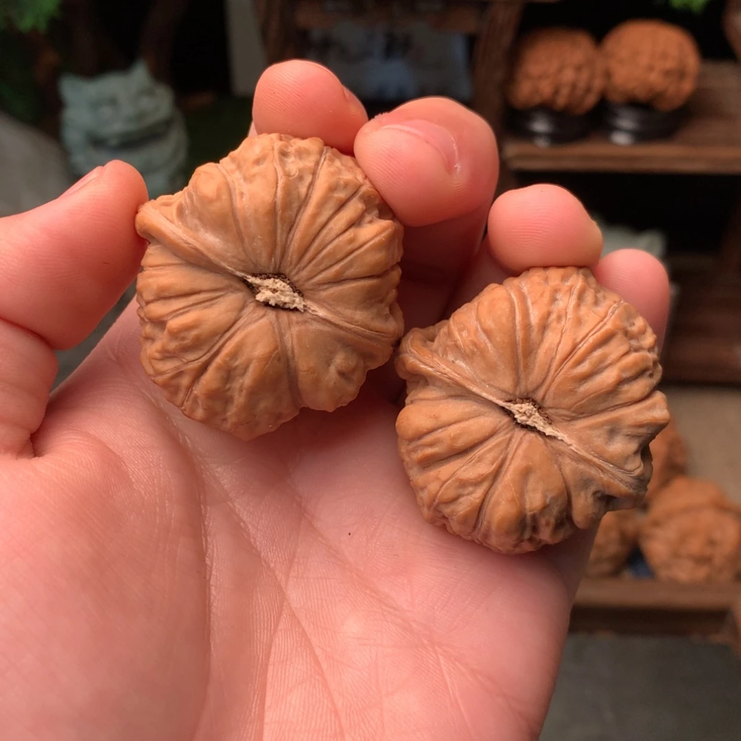 核桃41尺寸南瓜墩