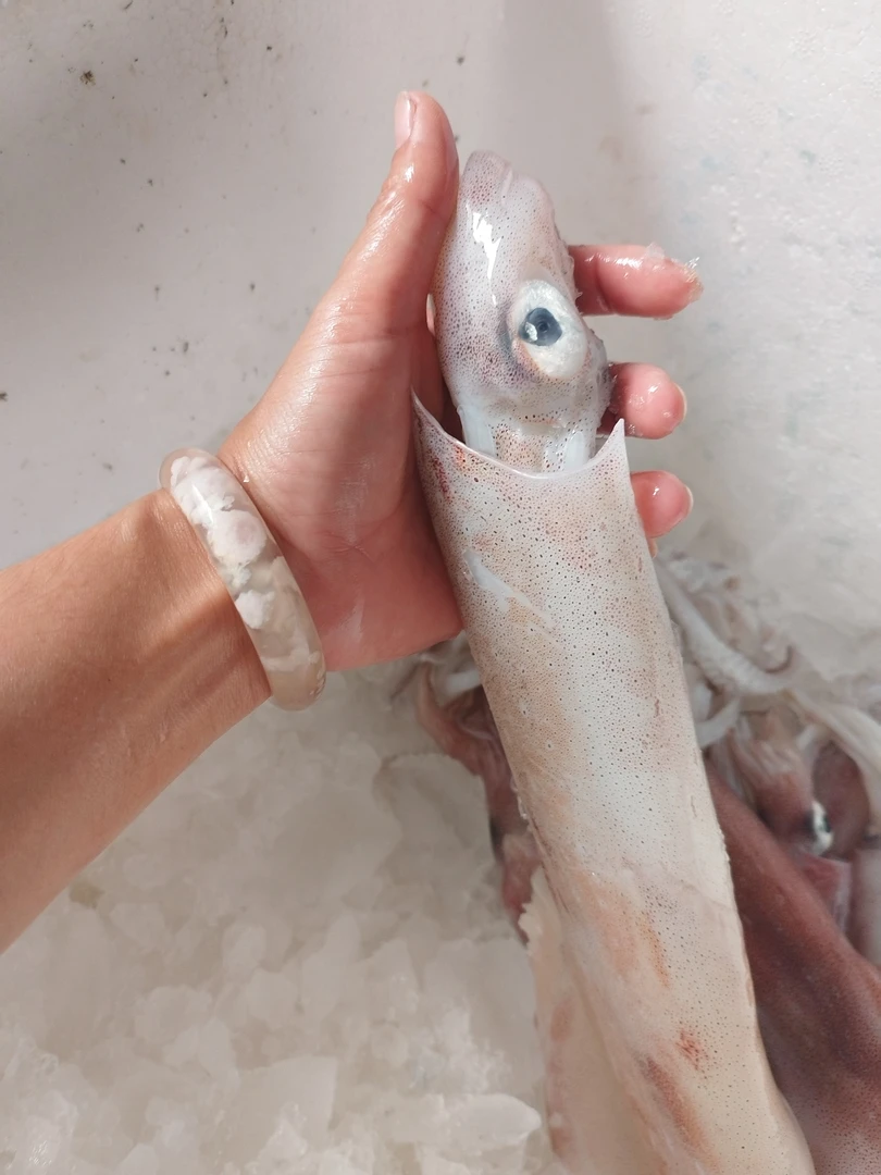 本港手钓大鱿鱼鲜嫩美味