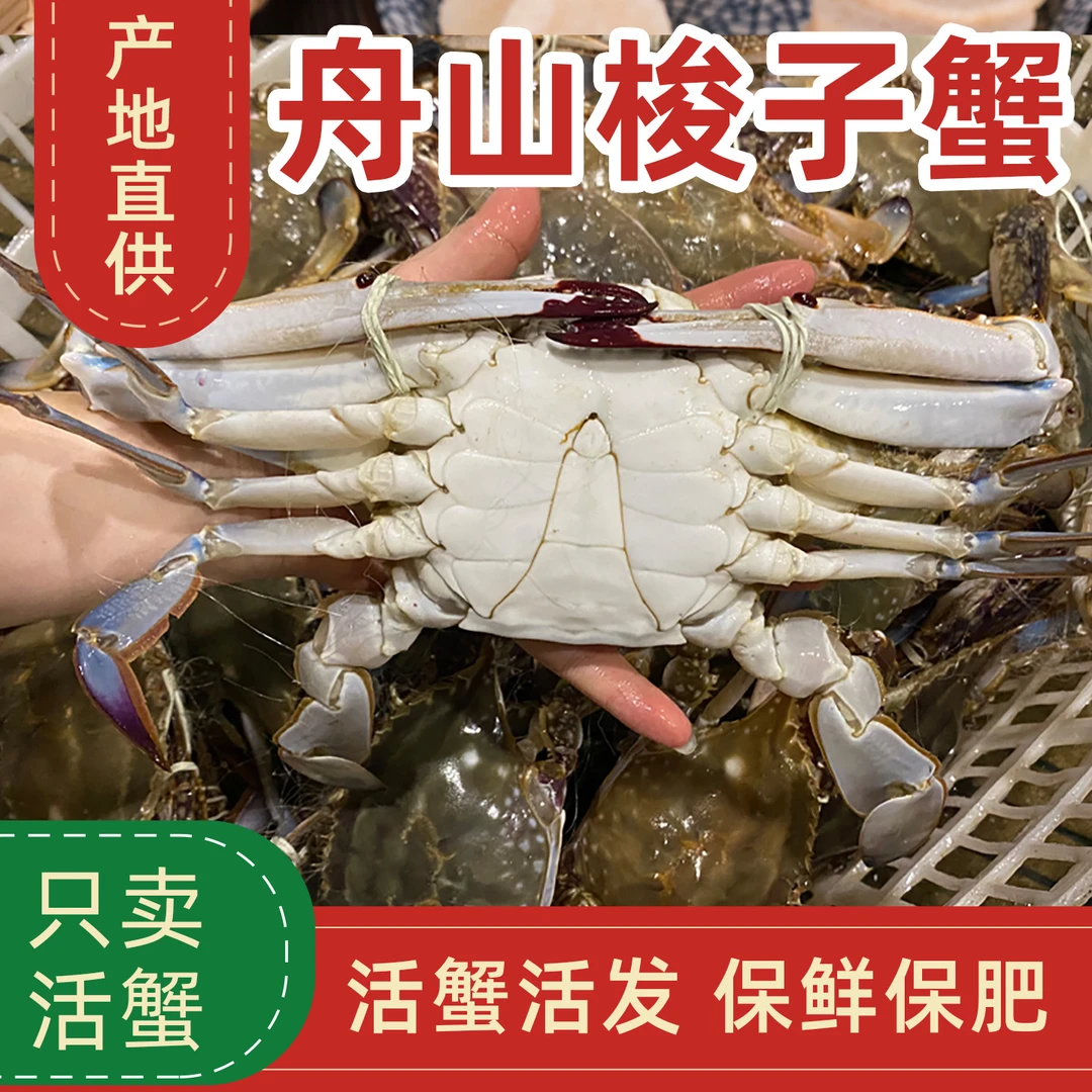 【保鲜不保活】4-6两/只公蟹舟山流网梭子蟹3斤顺丰包邮鲜活野生