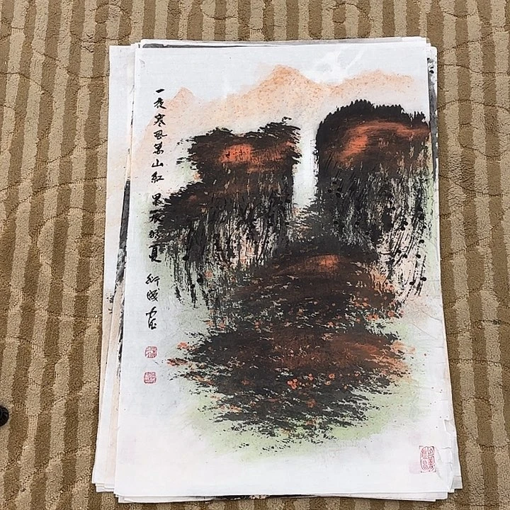 国画花鸟的翅膀和翅膀是