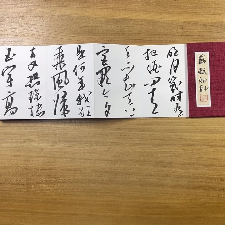 书法中书协会员作品