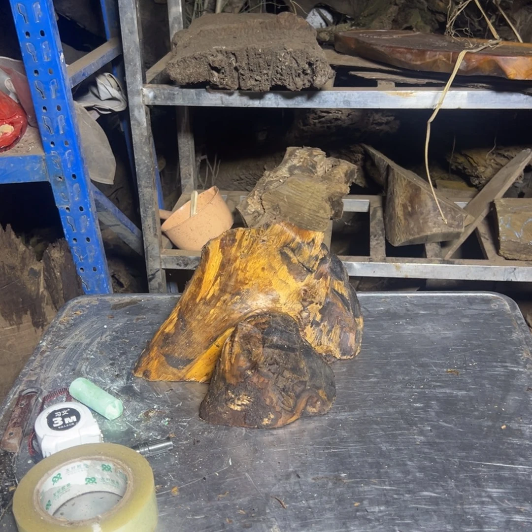 t***m金丝楠222222222222222