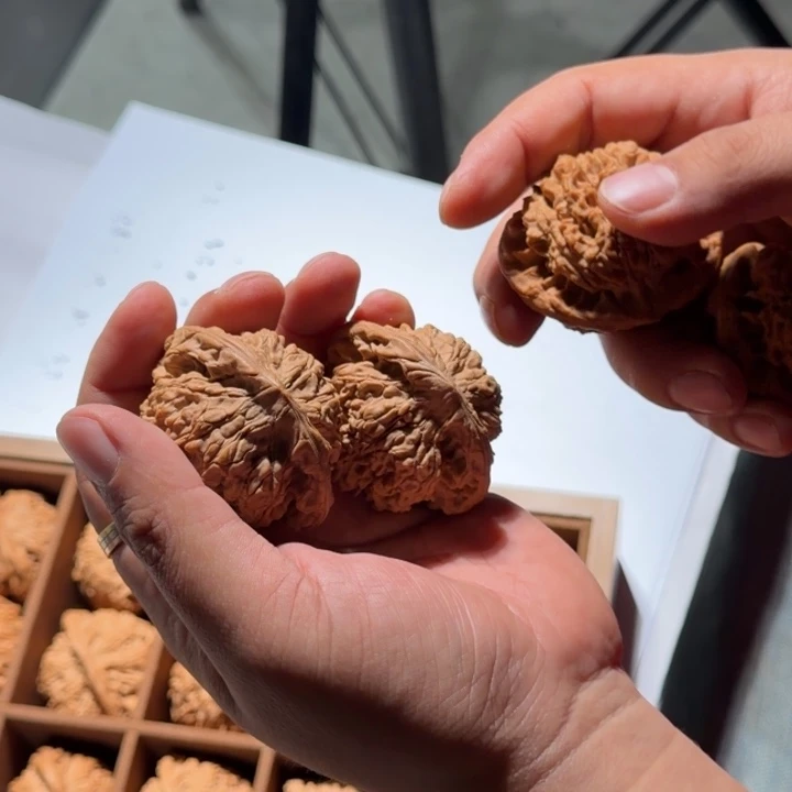 文玩核桃把件134号全品龙鼎官帽50mm以上