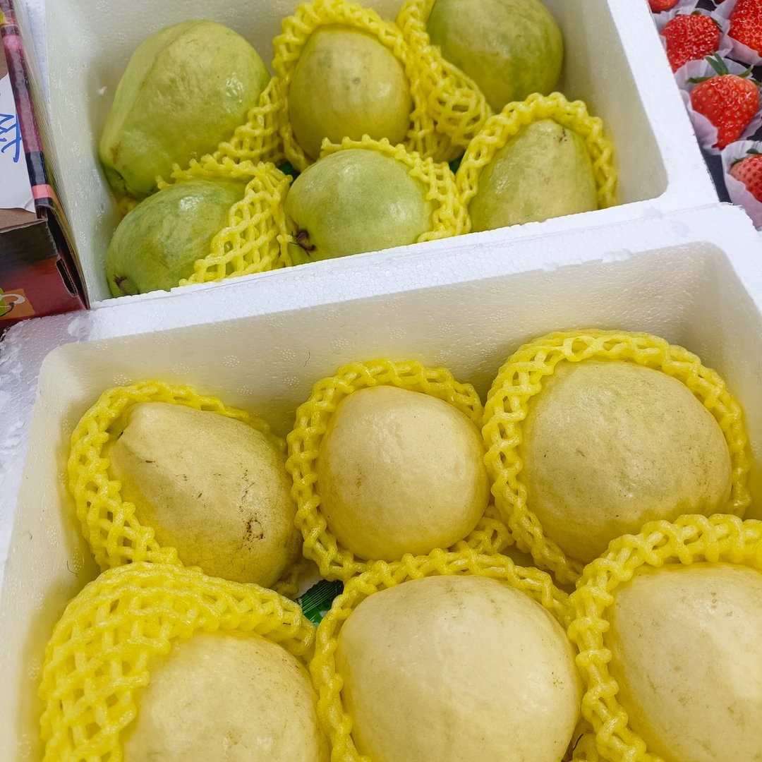 鲜果维芭乐放至微软食用)