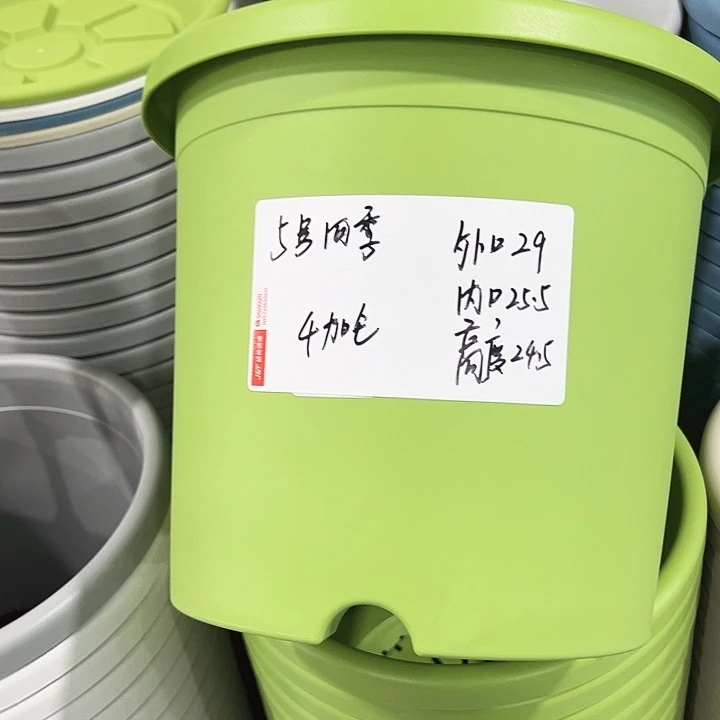正品5号四季口29高24.5果绿无托5只