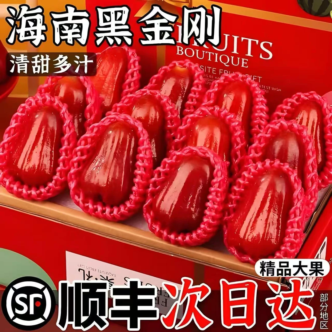 海南黑金刚莲雾品种新鲜现摘低热量水果树上矿泉水冰袋夏日水果