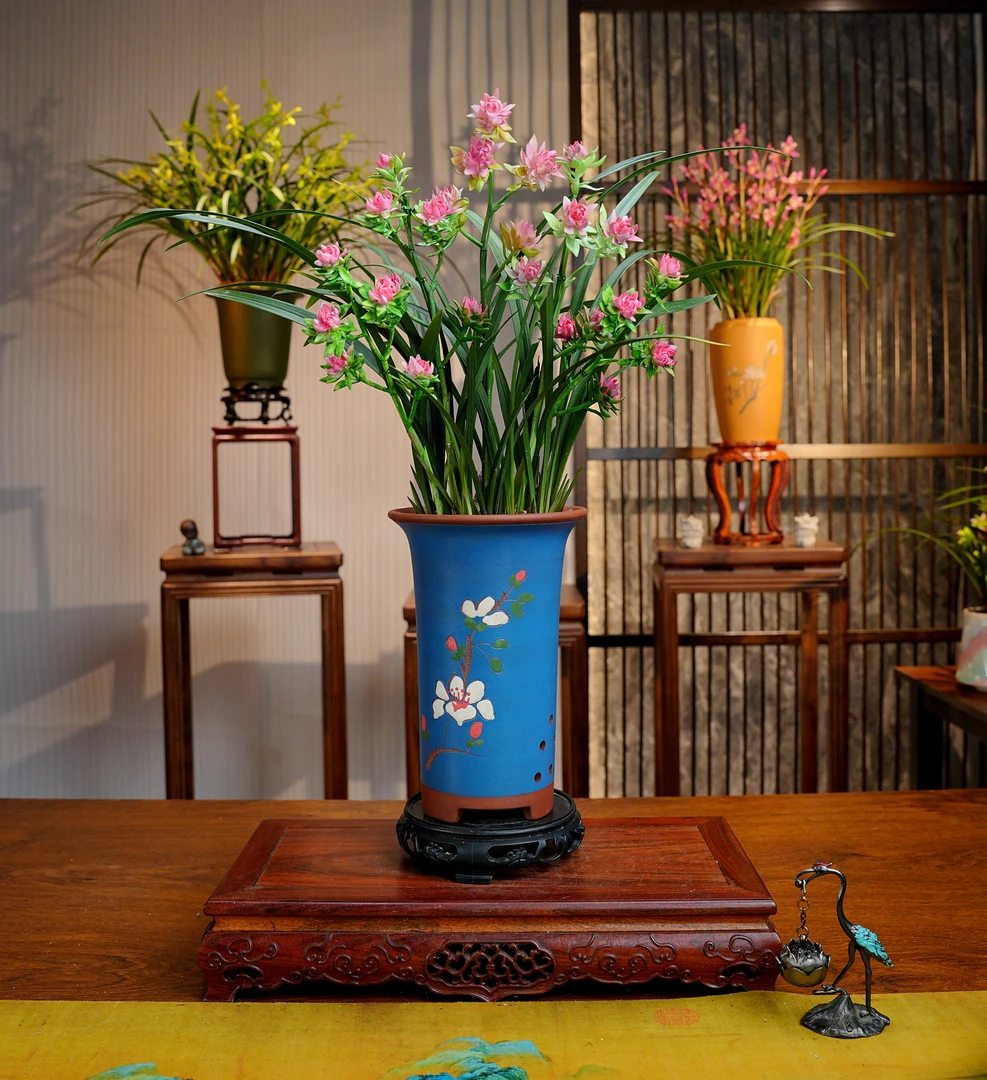 建兰铭品【盛世牡丹】名贵兰花 宜兴大师紫砂盆 室内好养易活