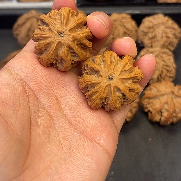 九***牙核桃秦岭突突突突突突