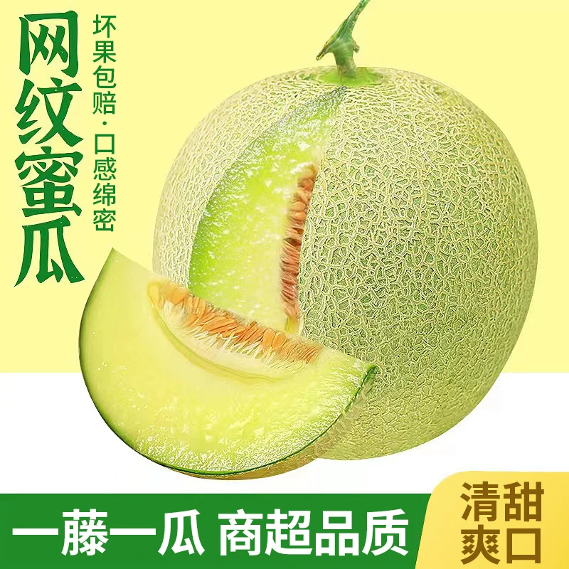 【地标甄选】内蒙正宗网纹蜜瓜新鲜现摘网纹蜜瓜当季软糯礼盒装内蒙古自治区