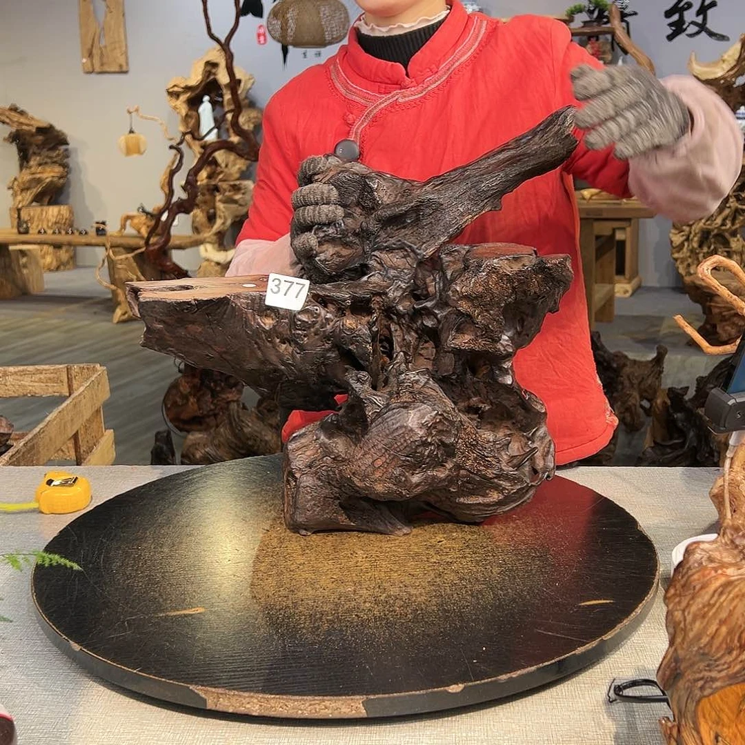 木?****?377gggggggggggggg