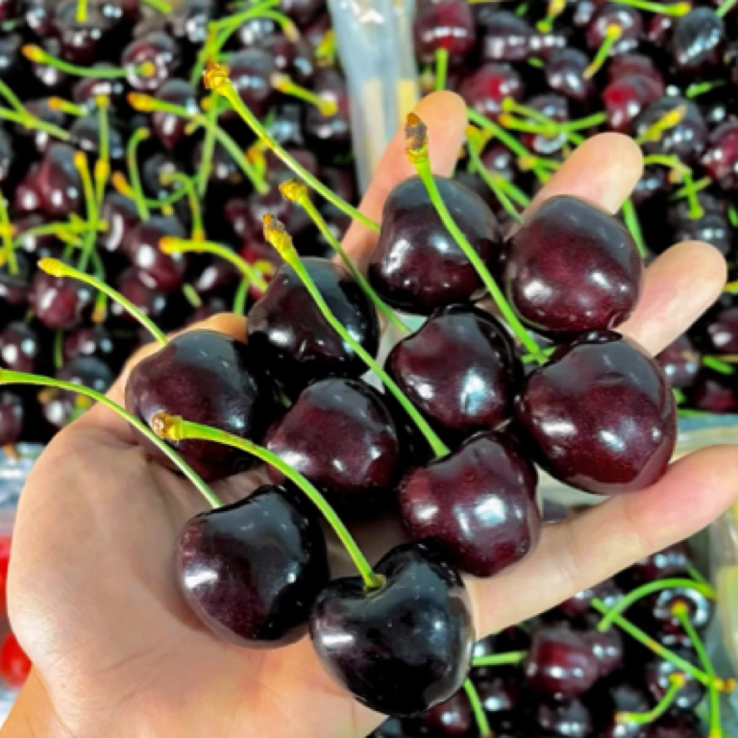 智利车厘子2JJ [原箱5斤]