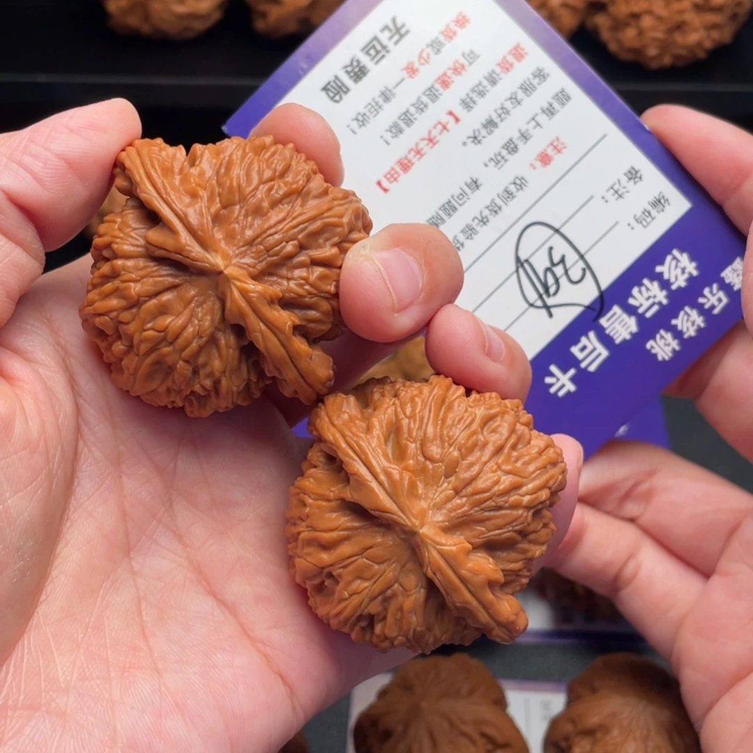 文玩核桃把件白狮子46修小尖