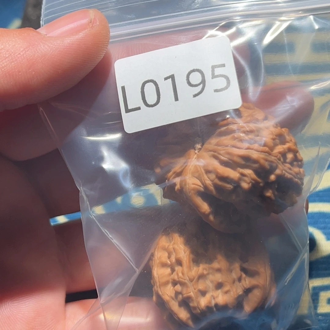 文玩核桃吊坠就**友白狮子