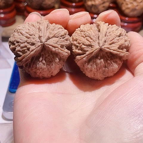 文玩核桃把件西北蜂带彩38