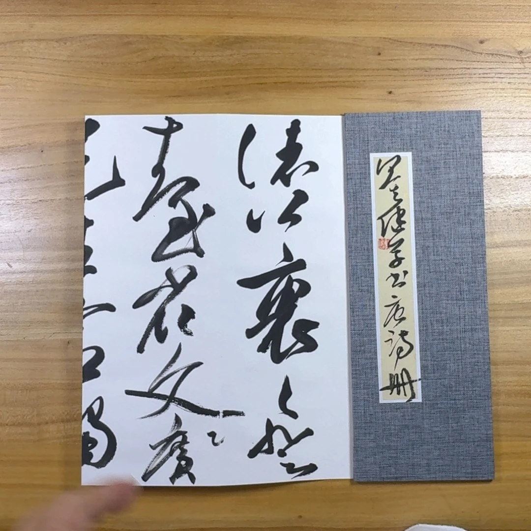 书法中书协老师作品
