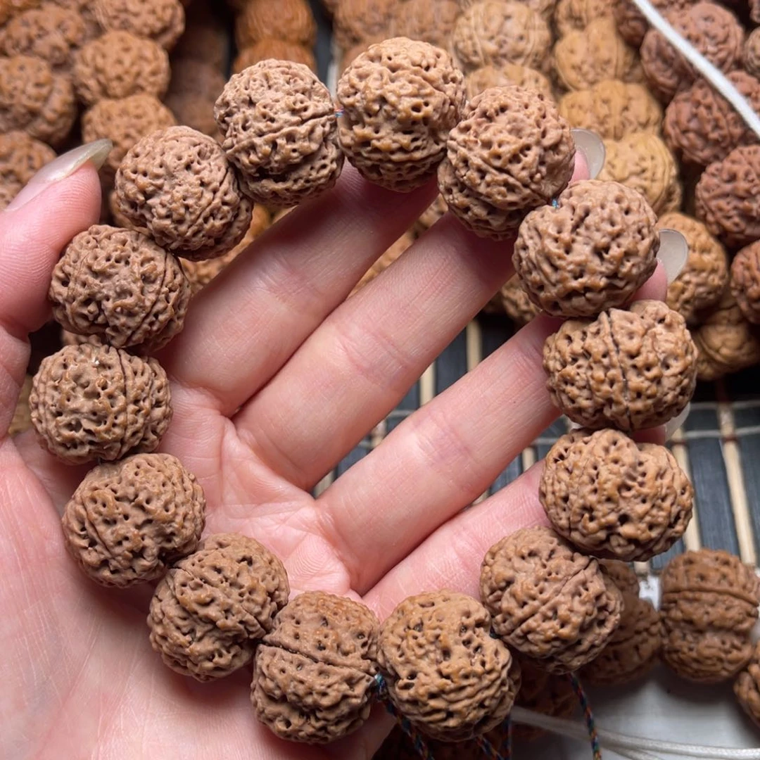 菩提20号金刚菩提梅花蜂窝22