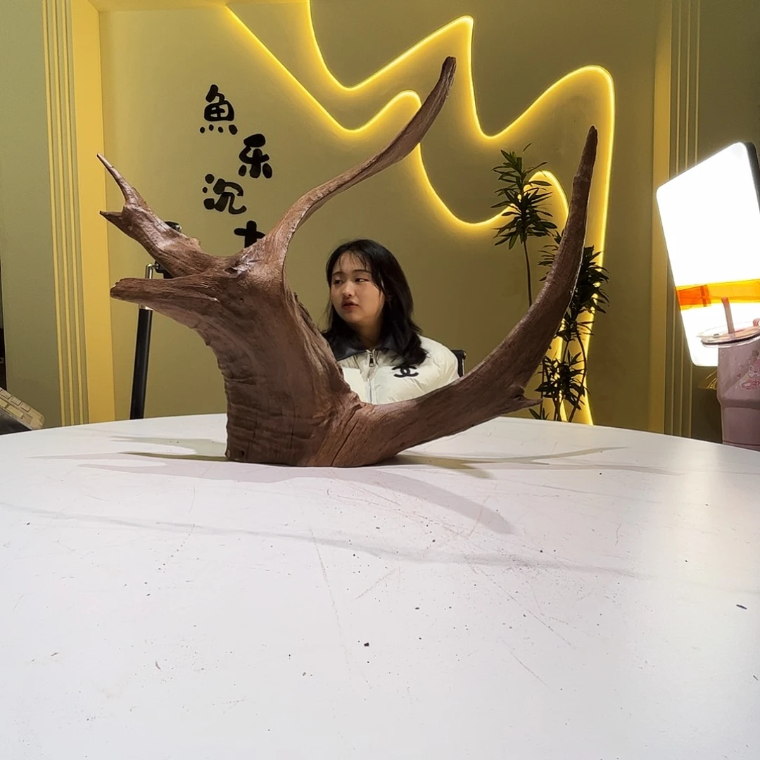 瓦当别***雕会黄黑红水727。61 29 39