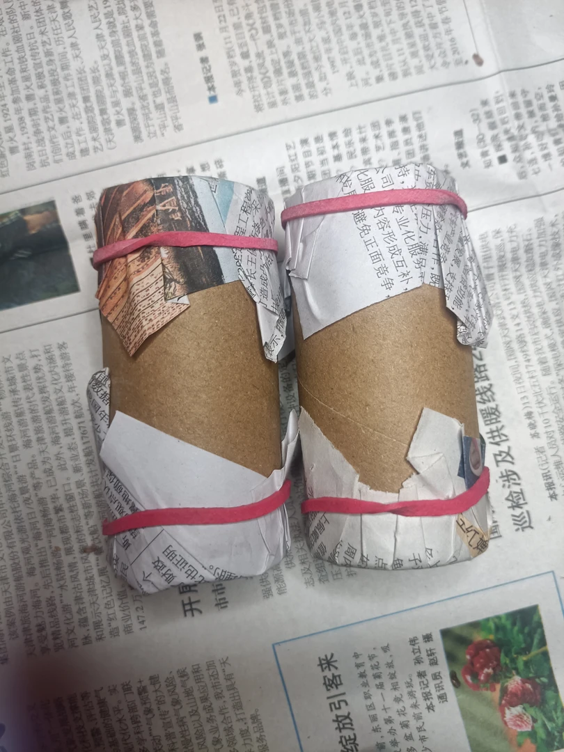 郝建伟小包蝈蝈两只包装盒