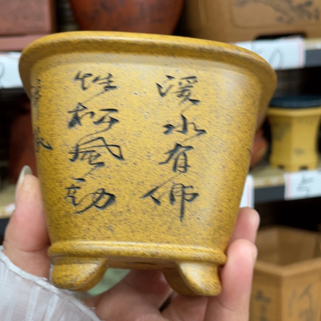 紫砂花盆紫砂花盆在这里