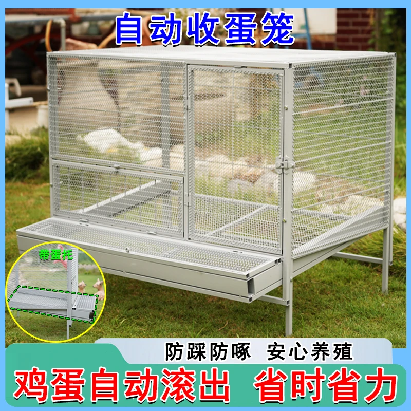 户外防鼠鸡笼鸭笼鸽子自动收蛋防偷吃链条网片加镀锌方管制作