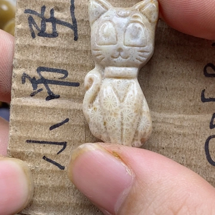 颈饰未镶嵌硅化珊瑚（珊瑚玉）小****?