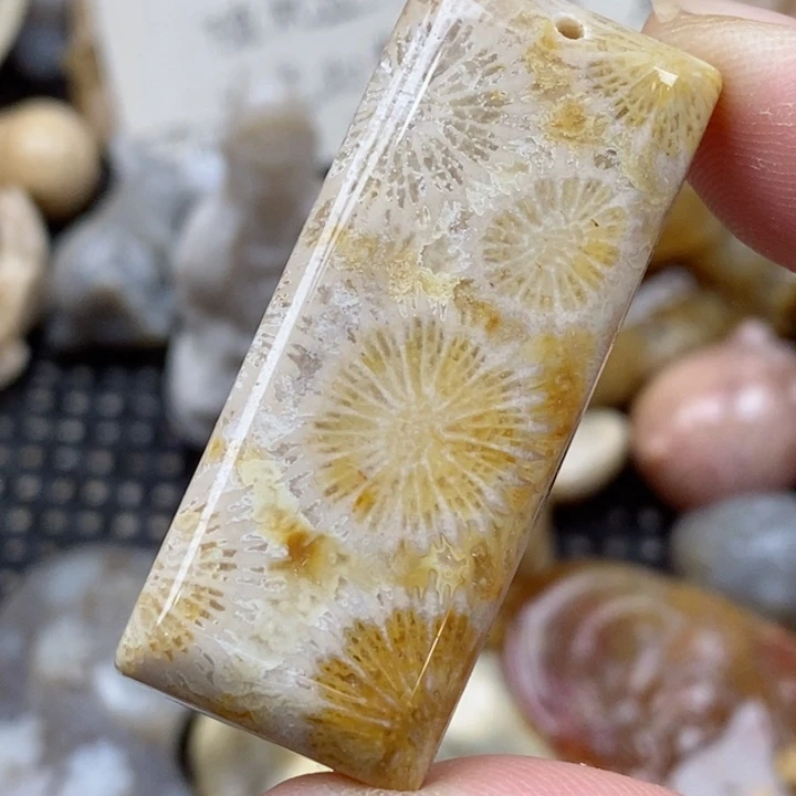 硅化珊瑚（珊瑚玉）未镶嵌颈饰小