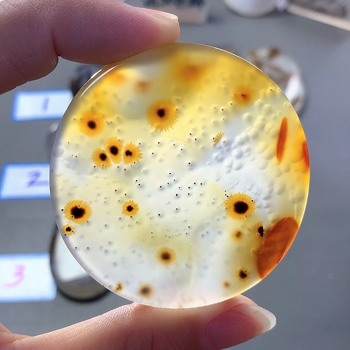 未镶嵌颈饰玛瑙/玉髓