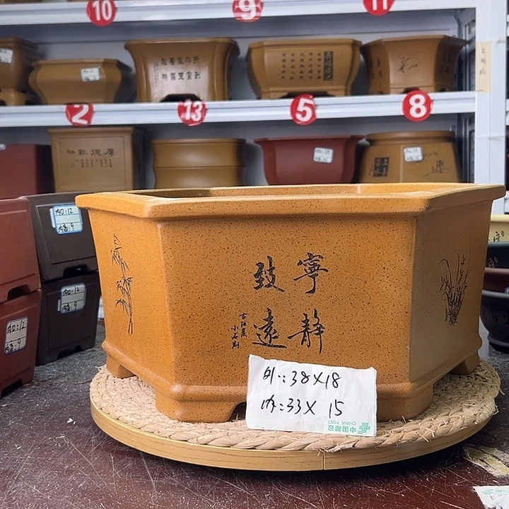紫砂花盆蛇年大吉