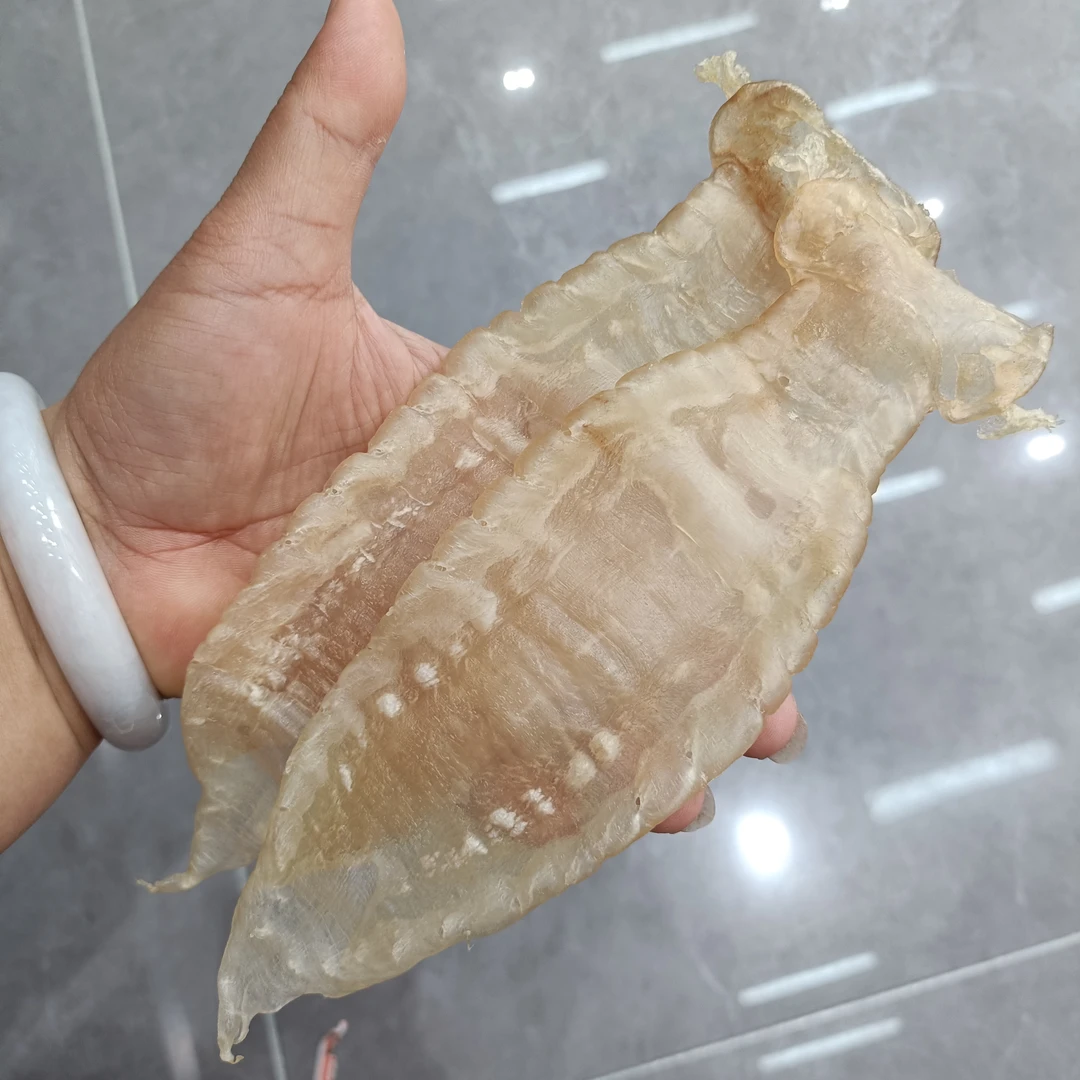 本港赤嘴公13头规格深海干货高品质花胶直播间称重