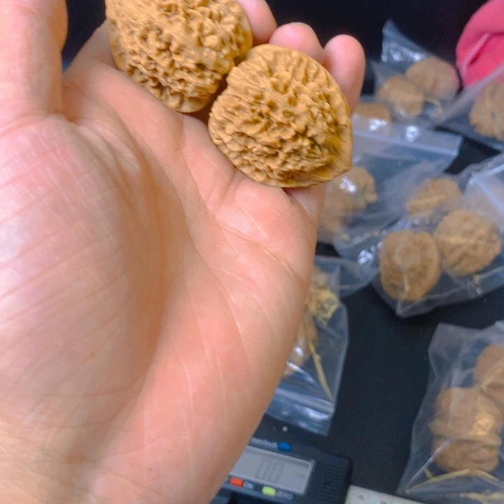 沧***士吊坠文玩核桃官帽
