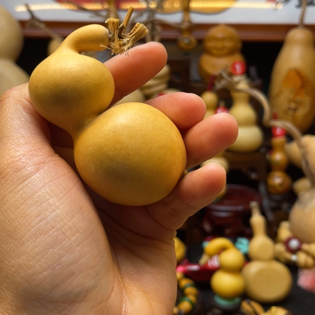 喝****e葫芦笙和我一起看了吗哈哈好可爱的小