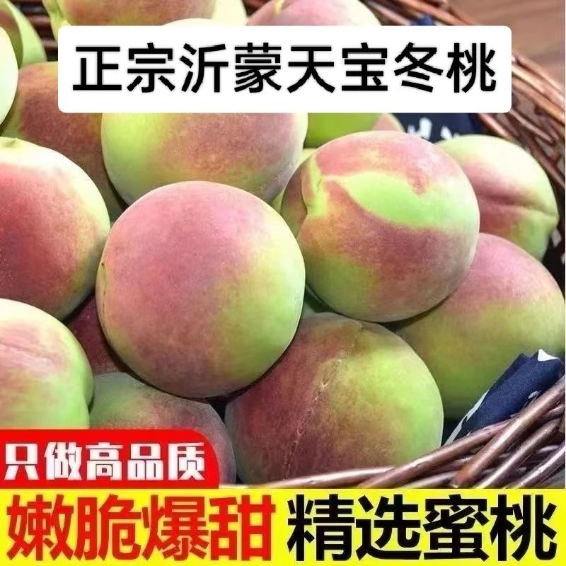 【顺丰包邮】山东正宗沂蒙山冬桃新鲜桃子脆桃毛桃当季甜桃水果