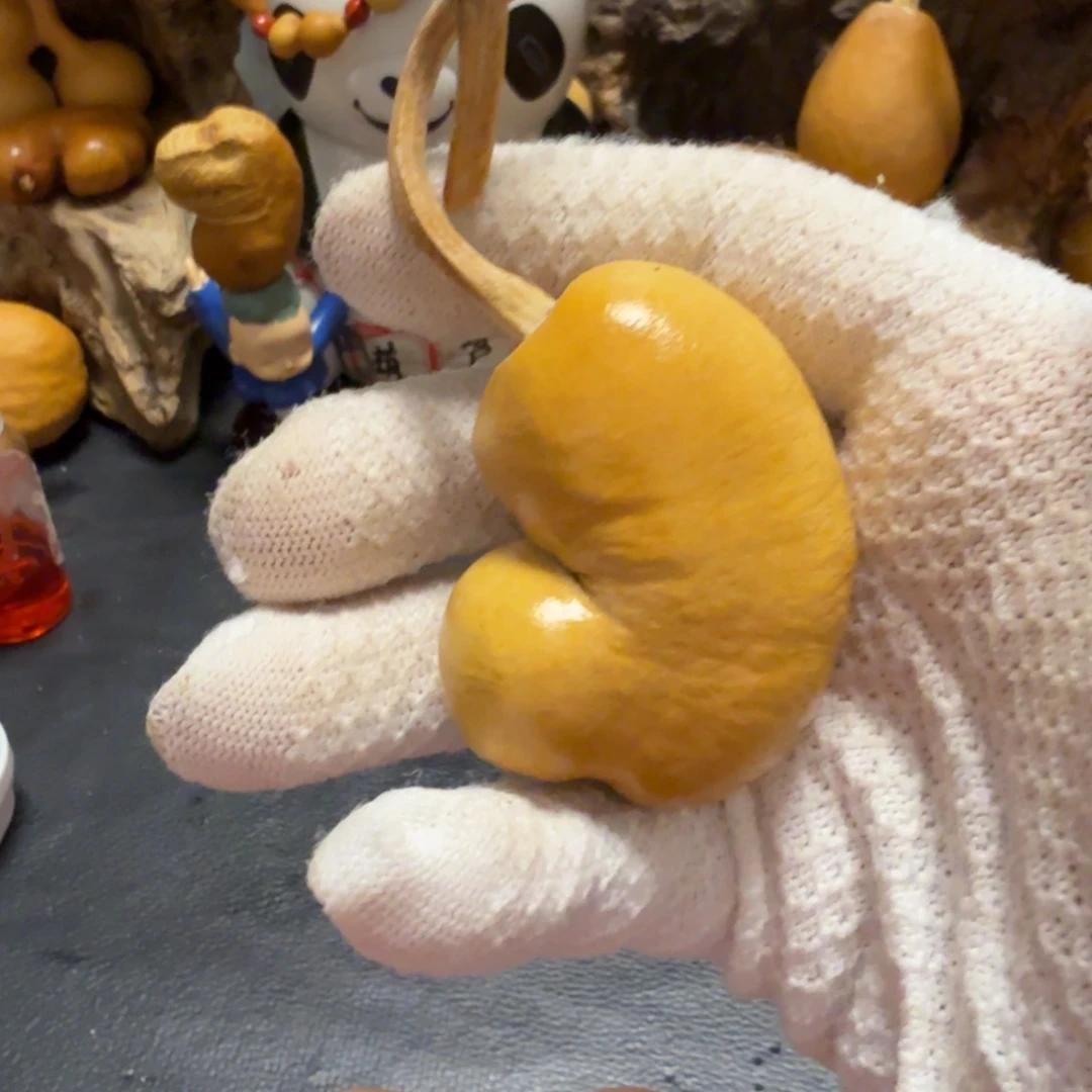 珍***多66……………………………………