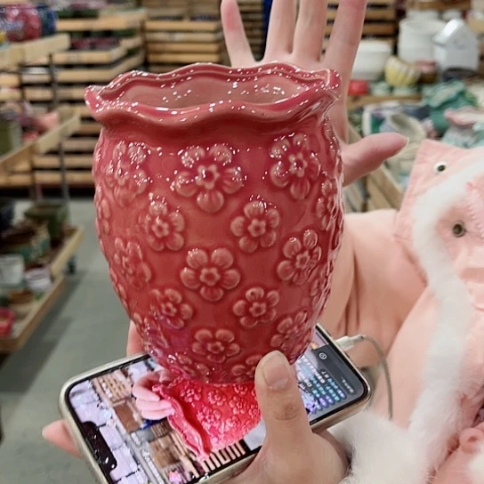 红陶直播间已有一年里