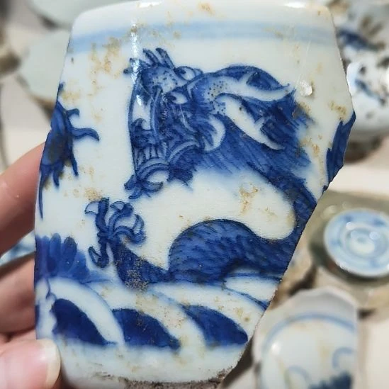 机***猫瓷片瓷片瓷片瓷片瓷片