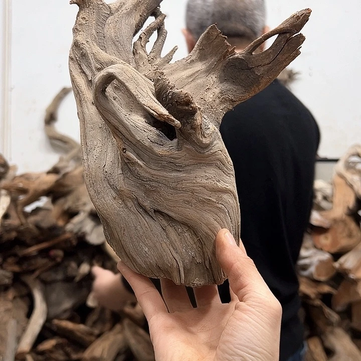 柏木惜*文玩的很开心啊哈