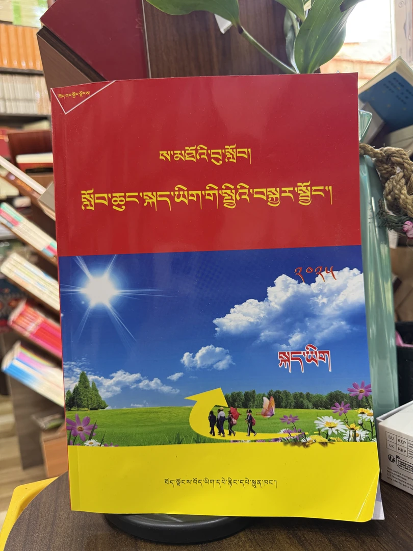 藏语文小升初总复习