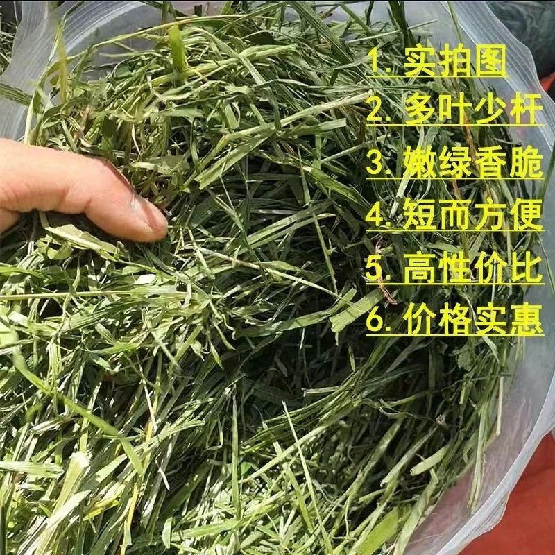 特级晒干提摩西兔草兔子龙猫新鲜豚鼠荷兰猪幼兔磨牙干草饲料