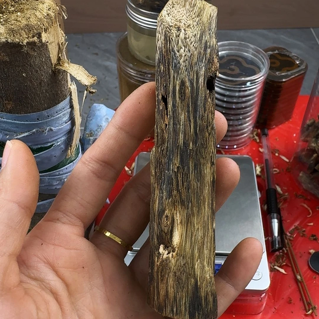 香料绿奇楠虫漏白棋28克