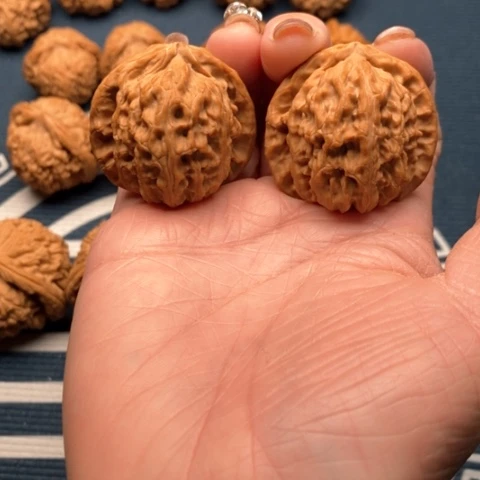 橄榄核手串/手链三角白