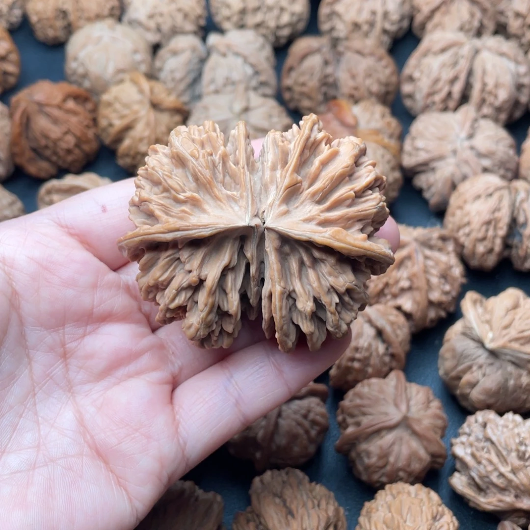 把件文玩核桃62帝王连体