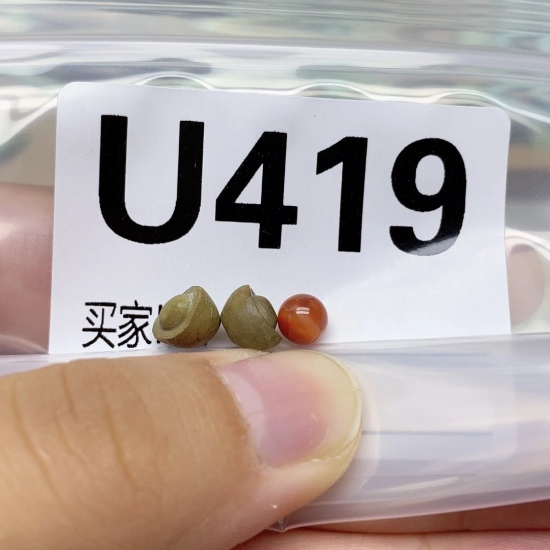 未镶嵌配饰南红玛瑙