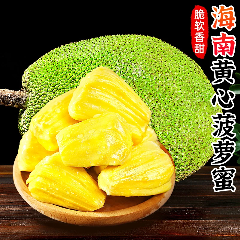 【香甜脆口】海南黄肉菠萝蜜15-40斤黄肉新鲜热带水果树上熟波罗蜜