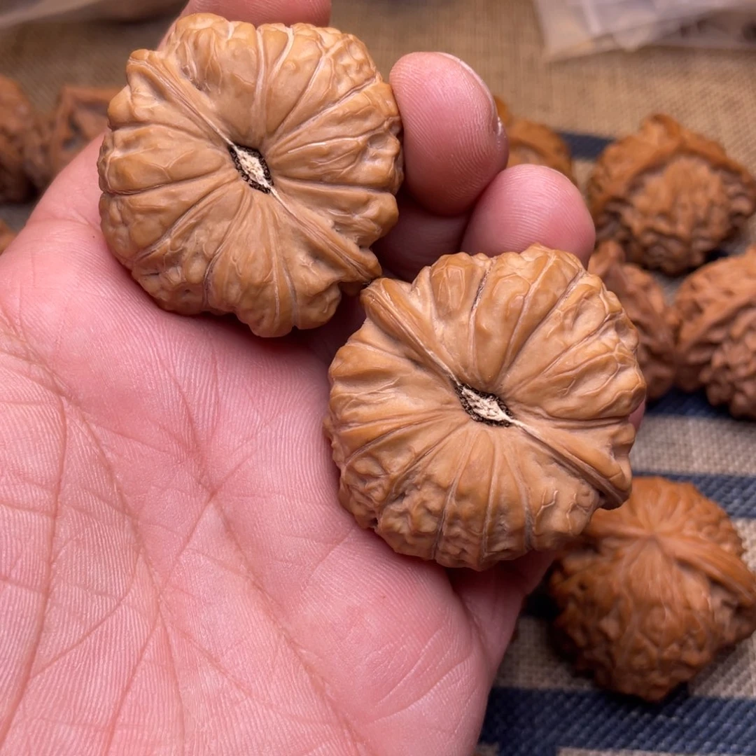 44尺寸南关墩全品无修