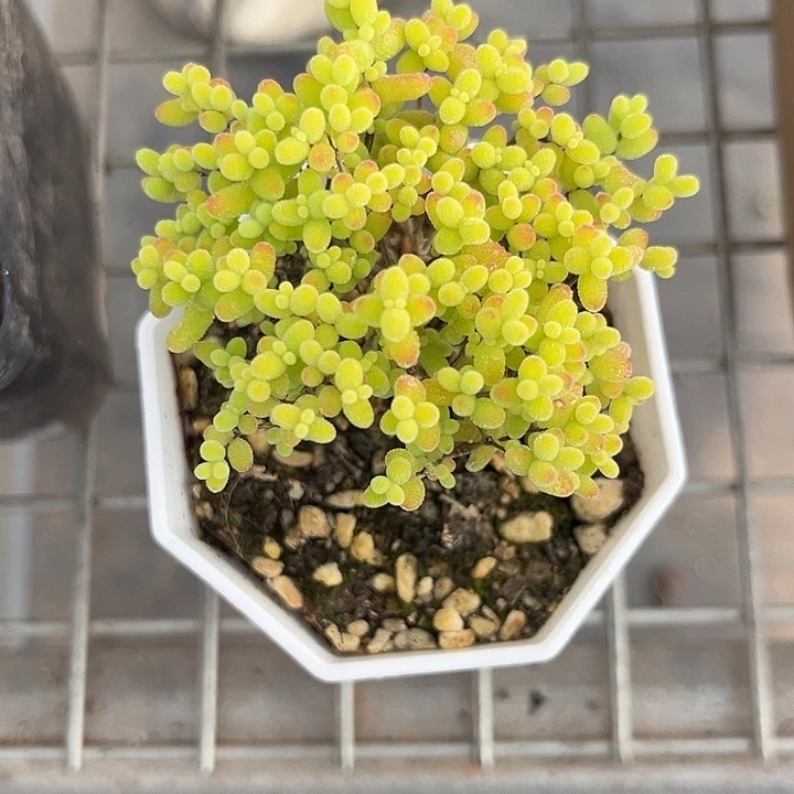 我也不知道我为什么要这样