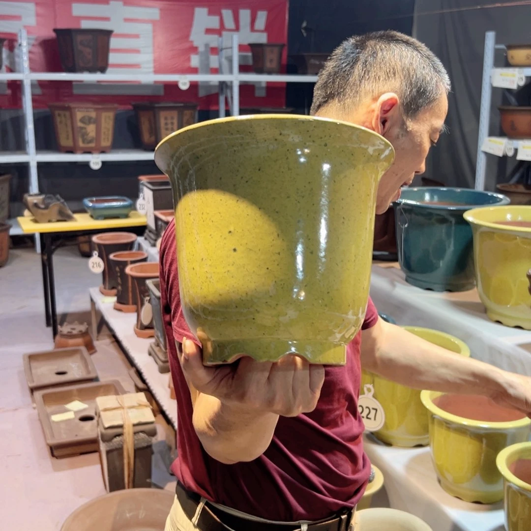 四件套金钟黄色一个小号的