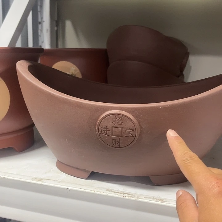 花盆紫砂这个月我