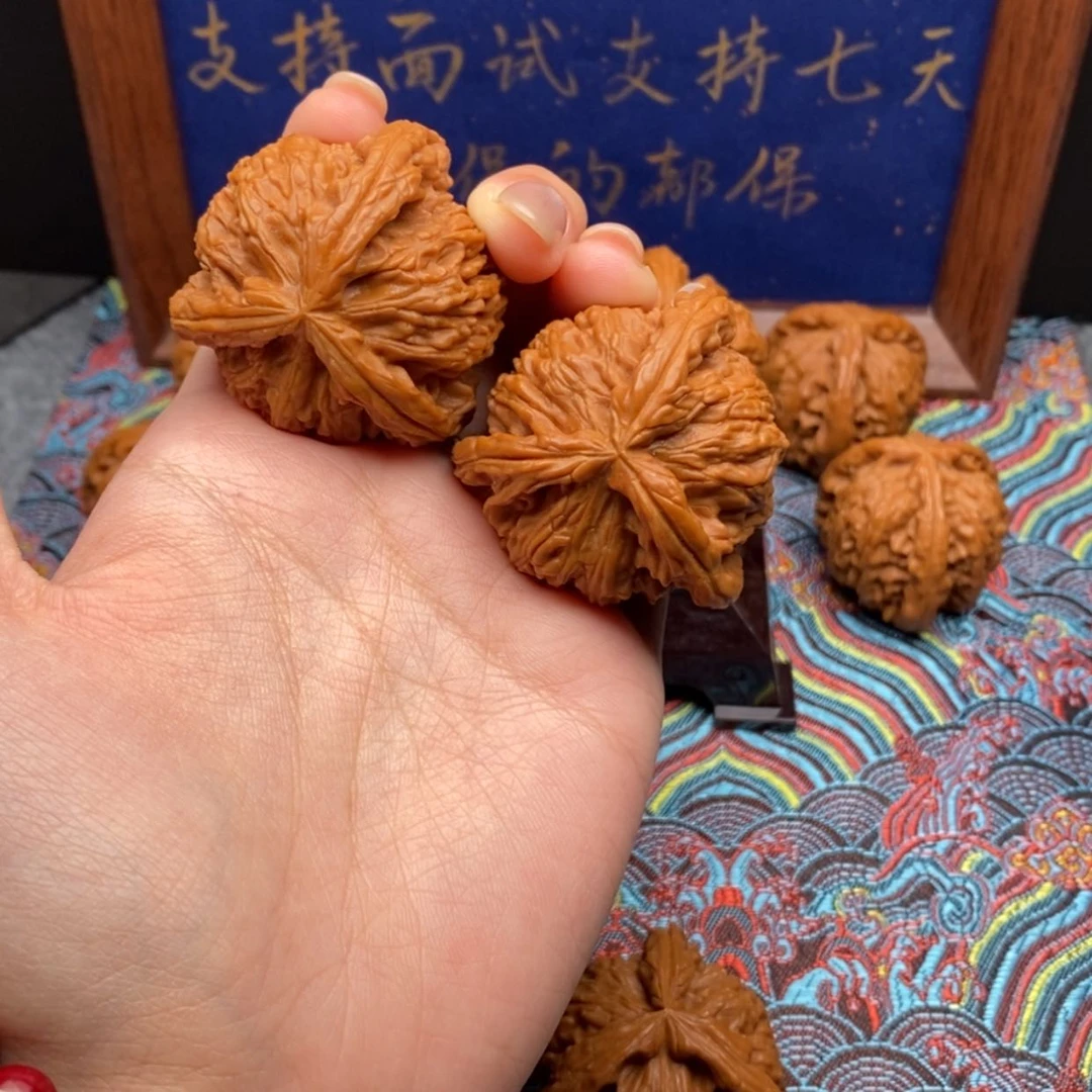 【闪购商品】无***炮白狮